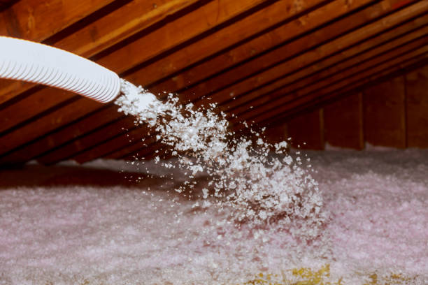 Best Attic Insulation Installation  in Alliae, NC